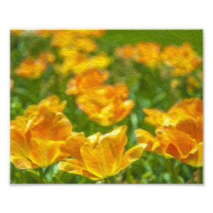 Anstrichene Tulips Fotodruck