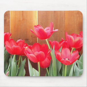 Anstrichene Tulips Mousepad