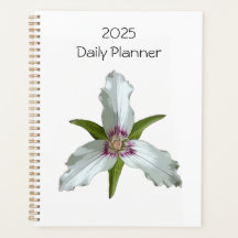 Anstrichter Trillium Spring Wildblume Daily Planne