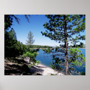 Ansturm-Reservoir - Tahoe staatlicher Wald Poster