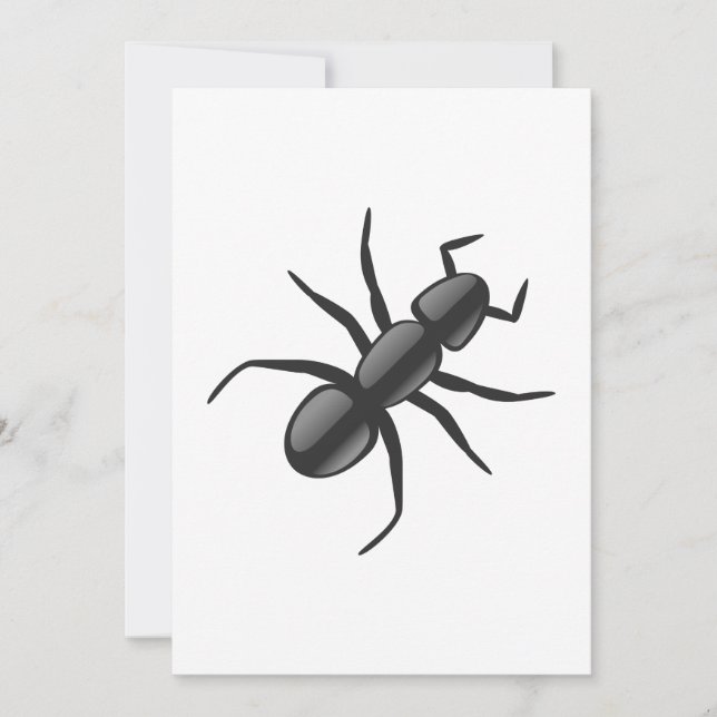 Ant (Vorderseite)