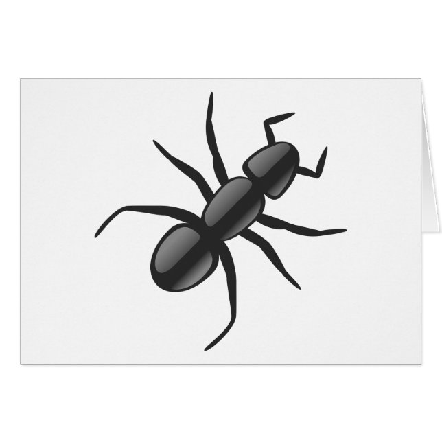 Ant (Vorderseite (Horizontal))