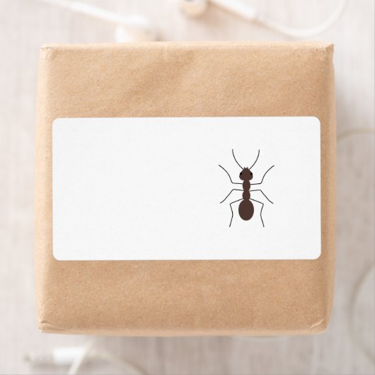 Ant (Insitu)