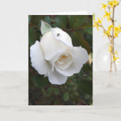 Ant an der weißen Rosenleere Karte (Gelbe Blume)