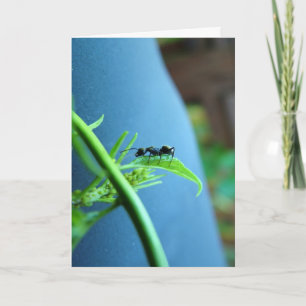 Ant auf einem leaf Grußkarten Karte