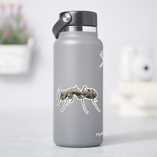 Ant Aufkleber (HydroFlask)