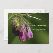 Ant & Blume Dankbarkeit Motivierend Postkarten (Vorne/Hinten)