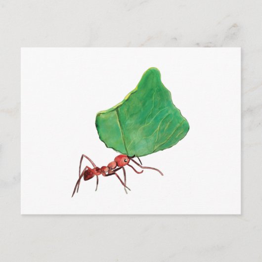 Ant Carry a Big Leaf Postkarte (Vorderseite)