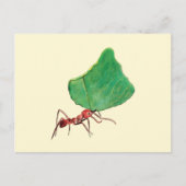 Ant Carry a Big Leaf Postkarte (Vorderseite)