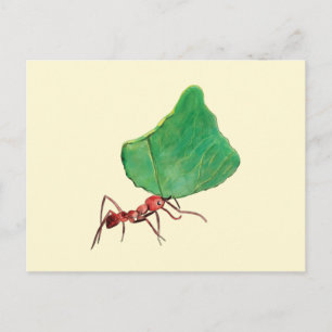 Ant Carry a Big Leaf Postkarte