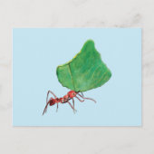 Ant Carry a Big Leaf Postkarte (Vorderseite)