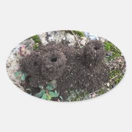 Ant Castle Ovaler Aufkleber
