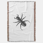 Ant Decke (Vorderseite Vertikal)