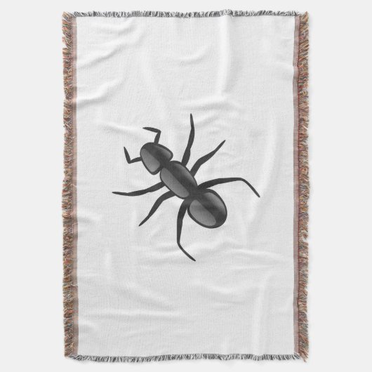 Ant Decke (Vorderseite Vertikal)