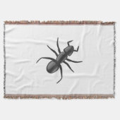 Ant Decke (Vorderseite)