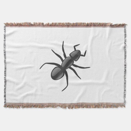 Ant Decke (Vorderseite)