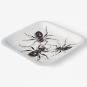Ant Feast Pappteller (Gewinkelt)