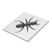 Ant Fliese (Seite)