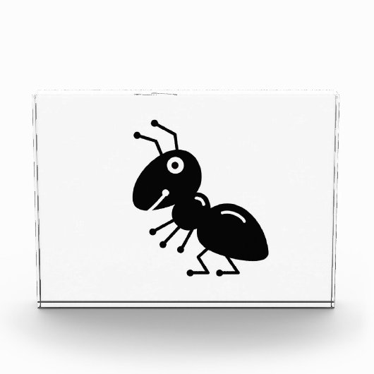 Ant Fotoblock (Vorderseite)