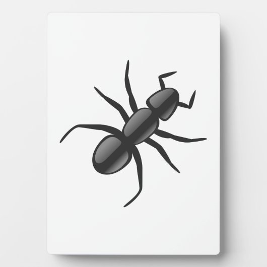 Ant Fotoplatte (Vorderseite)