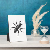 Ant Fotoplatte (Seite)