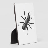 Ant Fotoplatte (Seite)