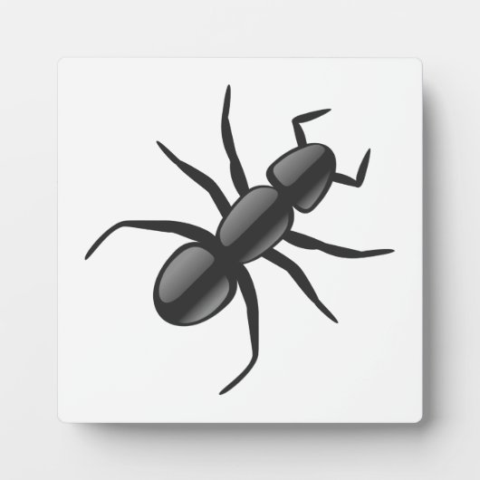 Ant Fotoplatte (Vorderseite)