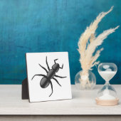 Ant Fotoplatte (InSitu)