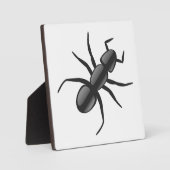 Ant Fotoplatte (Vorderseite)