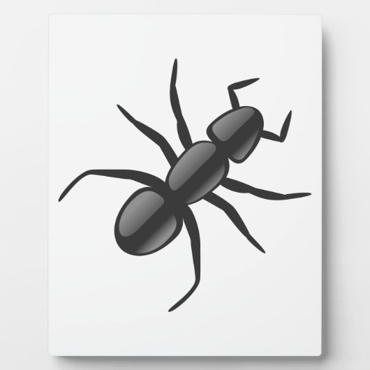 Ant Fotoplatte (Vorderseite)