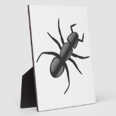 Ant Fotoplatte (Seite)