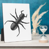 Ant Fotoplatte (Seite)