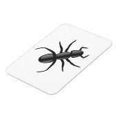 Ant Magnet (Linke Seite)