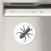 Ant Magnet (In Situ (Geschirrspüler))