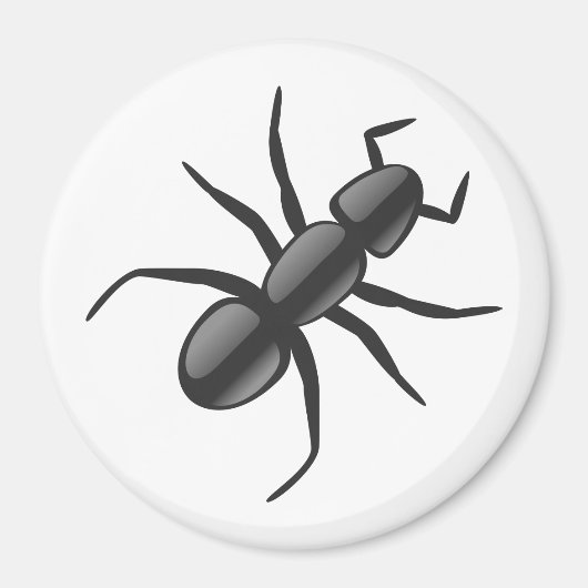 Ant Magnet (Vorne)