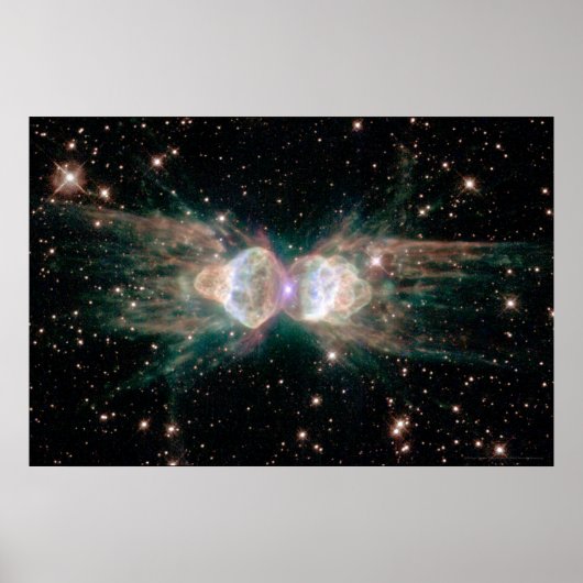 Ant Nebula 30x20 (27x18) Poster (Vorne)