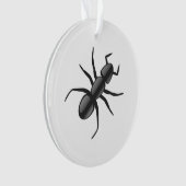 Ant Ornament (Vorderseite)