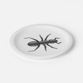 Ant Pappteller (Schrägansicht)