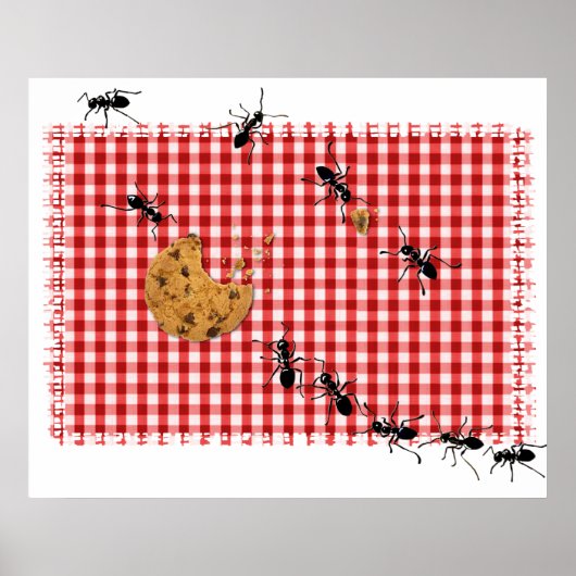 Ant Picnic Poster (Vorne)