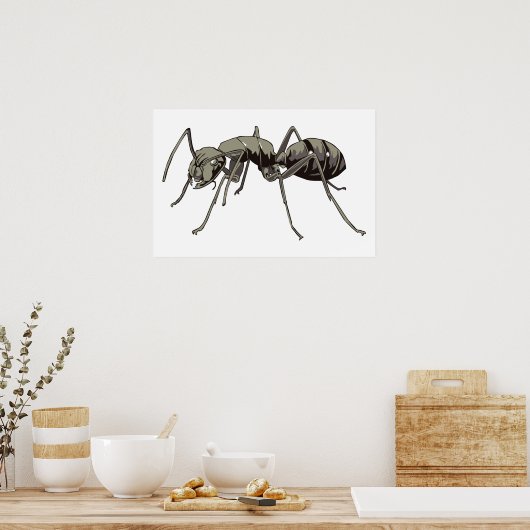 Ant Poster (Küche)