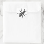 Ant Quadratischer Aufkleber (Tasche)
