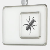 Ant Rahmen-Ornament Silber (Links)