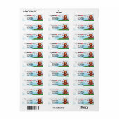 Ant Sign Language-Adresse (Vorne)