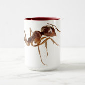 ANT-TASSE TASSE (Zentrum)