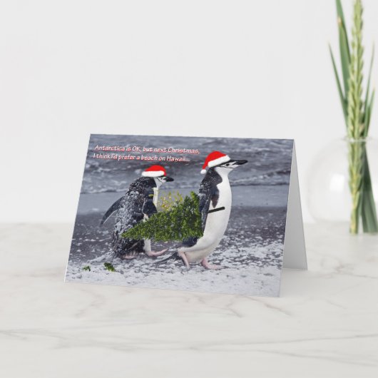Antarctic Beach Weihnachtskarte Feiertagskarte (Vorderseite)
