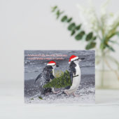 Antarctic Beach Weihnachtskarte Feiertagspostkarte (Stehend Vorderseite)