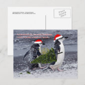 Antarctic Beach Weihnachtskarte Feiertagspostkarte (Vorne/Hinten)