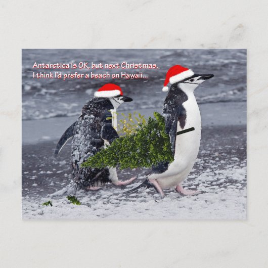 Antarctic Beach Weihnachtskarte Feiertagspostkarte (Vorderseite)