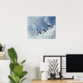 Antarctica. Adelie penguins Poster (Heimbüro)