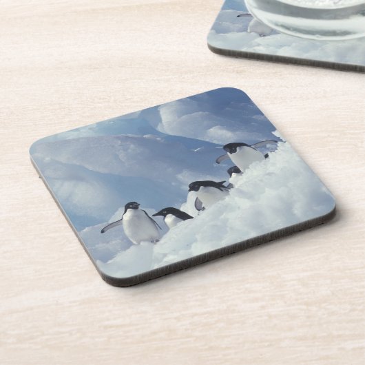 Antarctica. Adelie Pinguine Getränkeuntersetzer (Linke Seite)